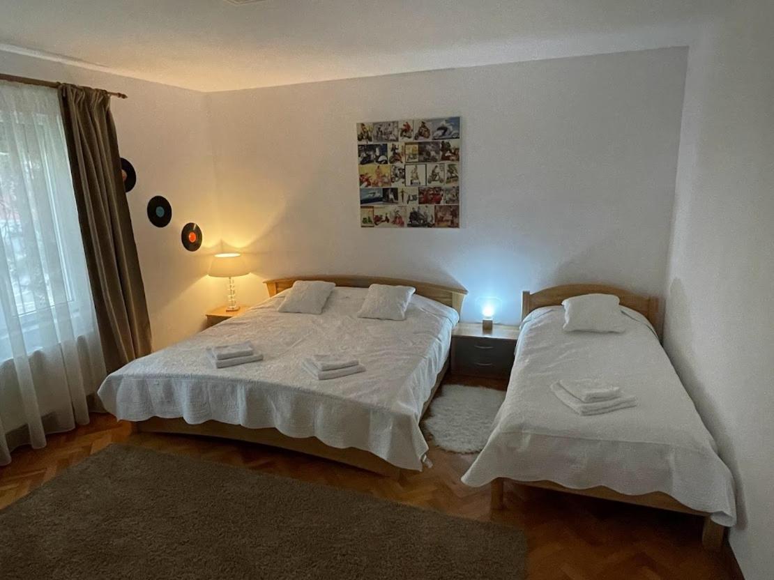 Crisan 40 Casa Muntean 100Mp 3Camere 3Paturi 1 Canapea 2 Dormitoare Parcare Timisoara Ngoại thất bức ảnh